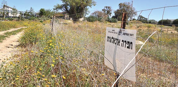אתר קברים אשקלון / צלם: תמר מצפי